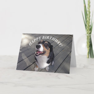 Carte Joyeux Anniversaire de Cute Corgi