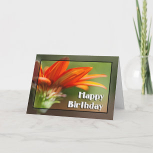 Carte Joyeux anniversaire de Gazania