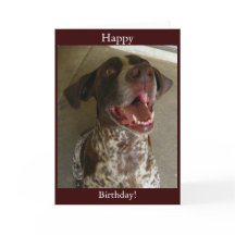 Joyeux anniversaire de Happy Dog