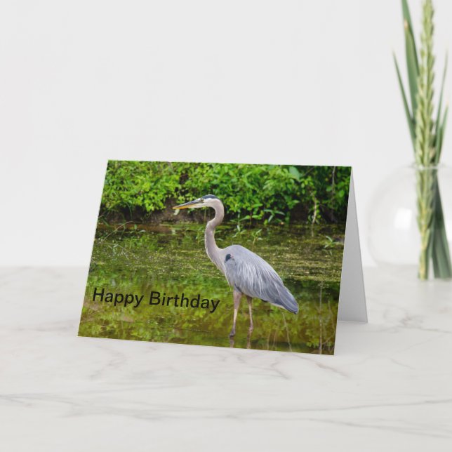 Carte Joyeux anniversaire de héron bleu (Devant)