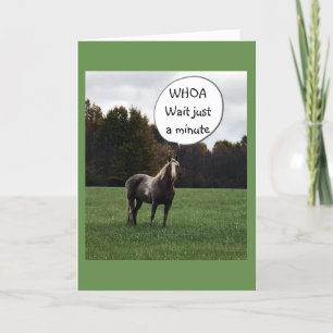 CARTE JOYEUX ANNIVERSAIRE DE LA PART D'UN CHEVAL TRÈS IN