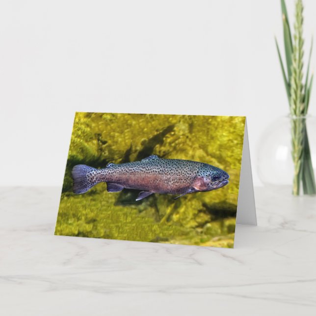 Carte Joyeux Anniversaire De La Vielle Truite (Devant)