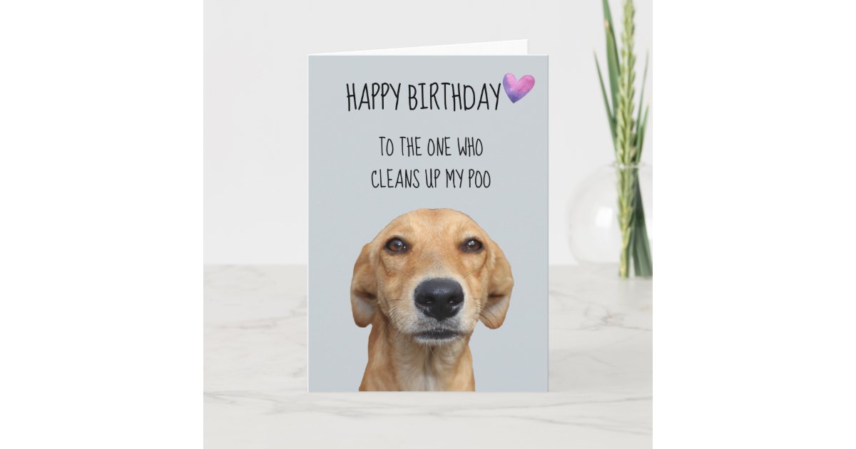 Carte Joyeux Anniversaire De L Humour Drole De Chien Zazzle Ca