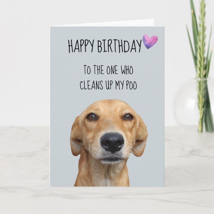 Carte Joyeux Anniversaire De L Humour Drole Du Chien Zazzle Ca