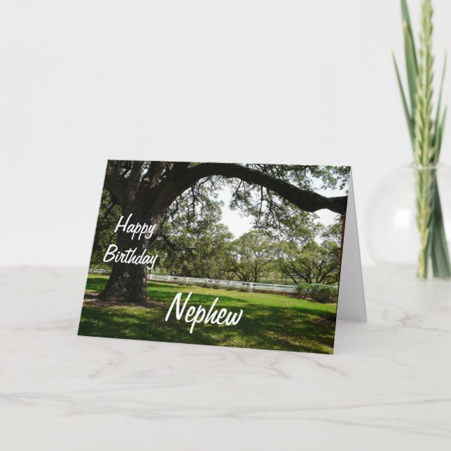 Carte Joyeux Anniversaire de Nephew-Old Tree dans le jar (Devant)