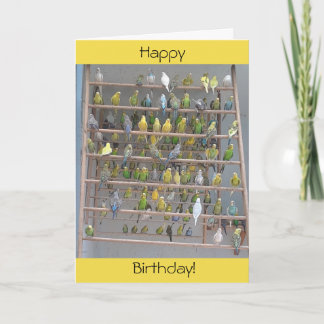 Carte Joyeux anniversaire de Parakeets All Us