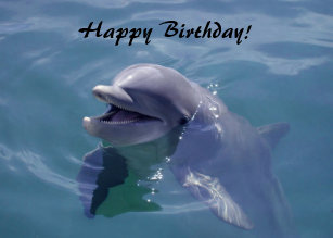 Cartes Dauphin D Anniversaire Zazzle Ca Cartes Dauphin D Anniversaire Zazzle Ca