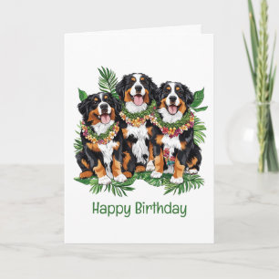 Carte Joyeux Anniversaire des chiens de montagne bernois