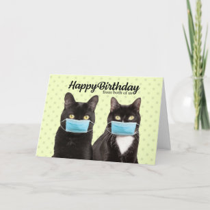 Cartes De Vœux Chat Drole Zazzle Ca Cartes De Vœux Chat Drole Zazzle Ca