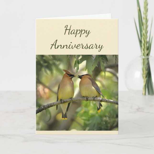 Carte Joyeux anniversaire d'oiseaux en amoureux  (Devant)