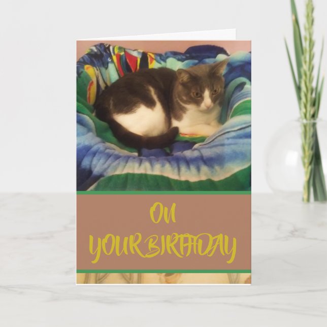 Carte Joyeux anniversaire domestique Grey and White Kitt (Devant)