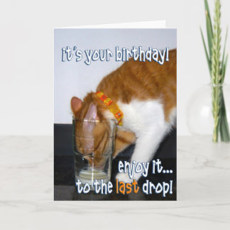 Carte Joyeux Anniversaire - Drôle de chat buvant dans un