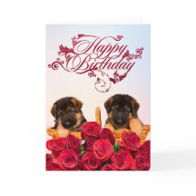 Joyeux anniversaire du berger allemand Chien