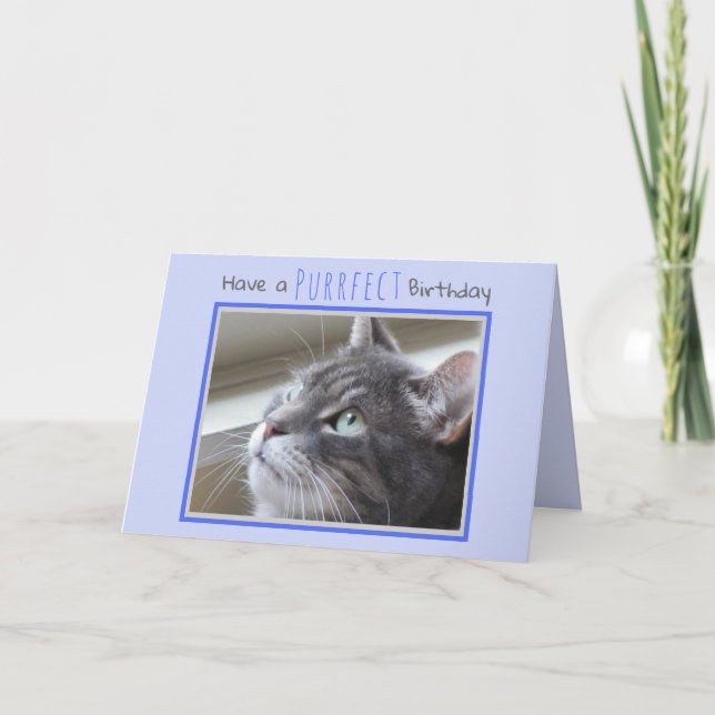 Carte Joyeux anniversaire du chat (Devant)