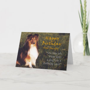 Carte Joyeux anniversaire du chien