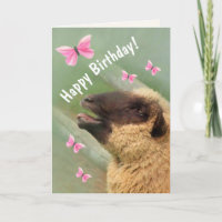 Joyeux Anniversaire du mouton