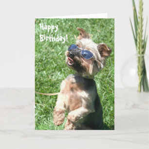 Carte Joyeux anniversaire du Yorkshire