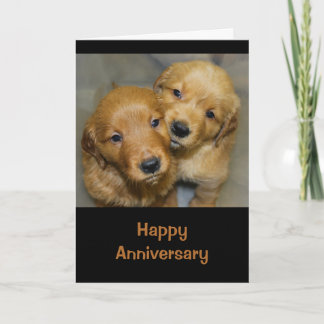 Carte Joyeux Anniversaire D'Un Couple De Chien Gâté