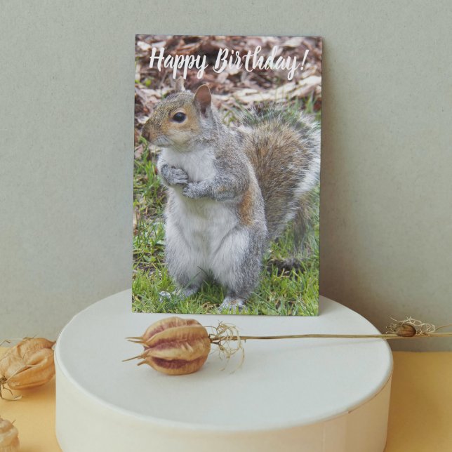 Carte Joyeux Anniversaire Écureuil Gris Mignon (In Situ)