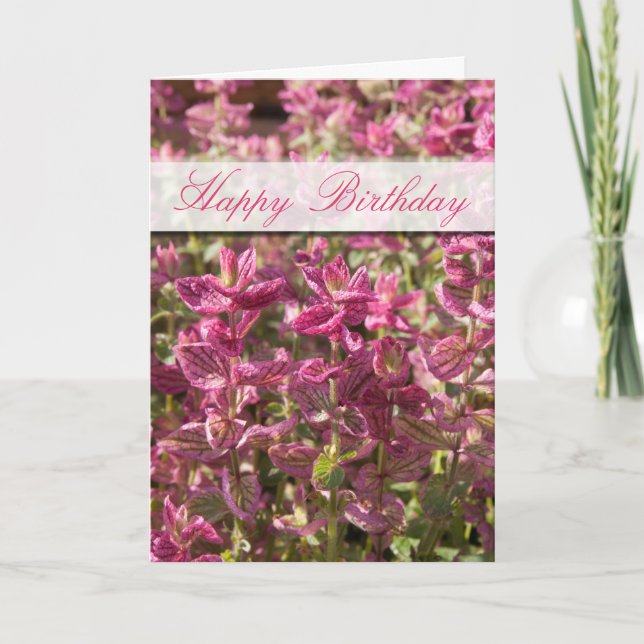 Carte Joyeux Anniversaire Feuilles roses sur Stalks Plan (Devant)