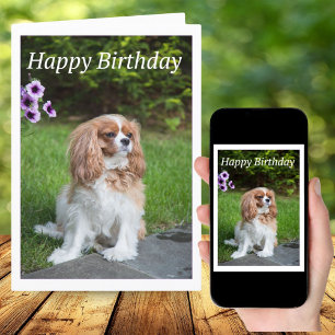 Carte Joyeux Anniversaire Fleurs Cavalier King Spa