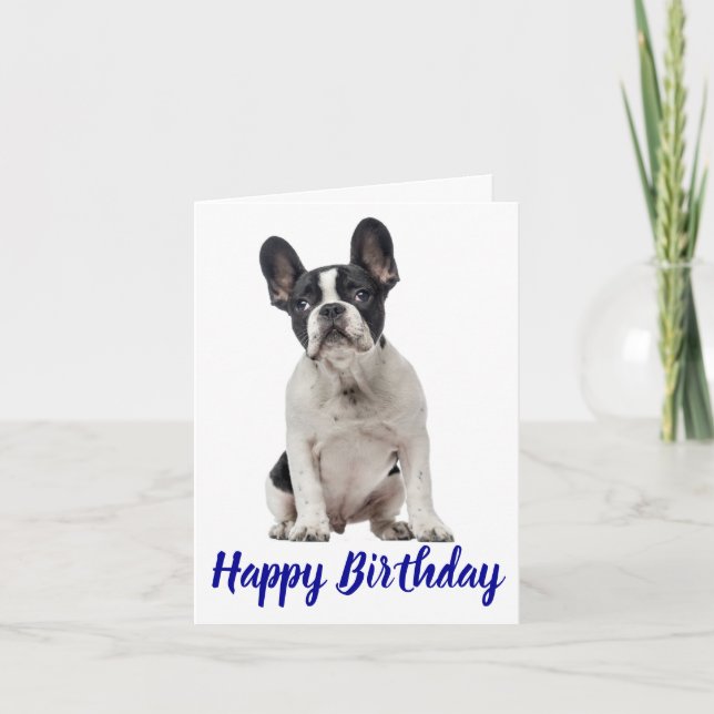 Carte Joyeux anniversaire Français Chien Chien Chien Chi (Devant)