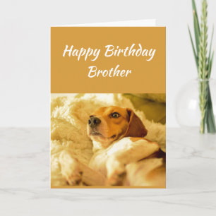 Carte Joyeux Anniversaire Frère Funny Animaux