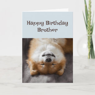 Carte Joyeux Anniversaire Frère Funny Chien Fête Heure!