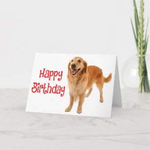 Carte Joyeux anniversaire Golden Retriever