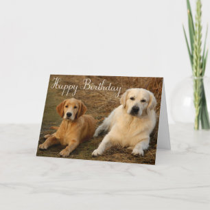 Carte Joyeux Anniversaire Golden Retriever Chien chiot