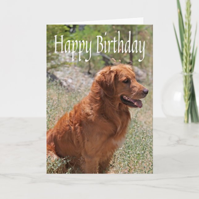 Carte Joyeux Anniversaire Golden Retriever Chien chiot (Devant)