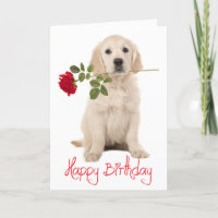 Joyeux Anniversaire Golden Retriever Puppy Chien C