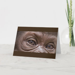 Carte Joyeux Anniversaire Gorilla