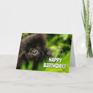 Carte Joyeux anniversaire Gorille des Montagnes Infant