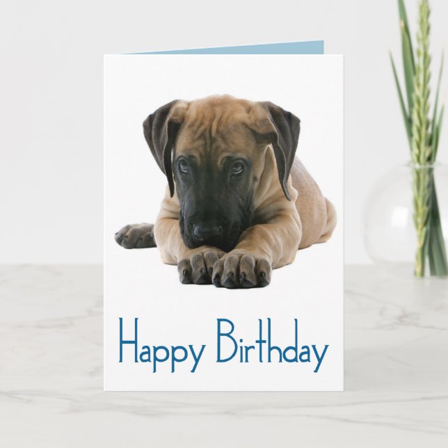 Carte Joyeux Anniversaire Grande Dane Puppy Dog Card - V (Devant)