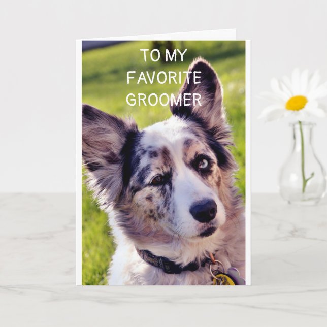 CARTE JOYEUX ANNIVERSAIRE **GROUPE DE CHIENS FAVORIS** (Petite plante)