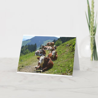 Carte Joyeux Anniversaire Groupe De Vaches