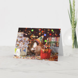 Carte Joyeux Anniversaire Guinéen Cochon