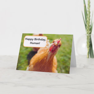 Carte Joyeux anniversaire humain Brown poulet Hen Gros p