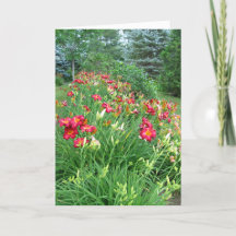 Joyeux anniversaire - jardin rouge II de lis