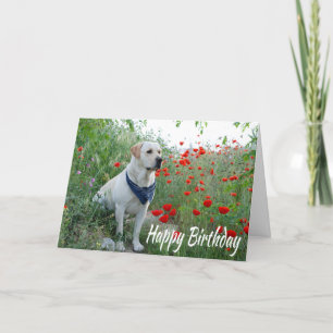 Carte Joyeux anniversaire Jaune Labrador Lab Puppy Dog C