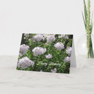 Carte Joyeux anniversaire Jolie Fleurs blanches et viole