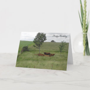 Carte Joyeux Anniversaire Jour Paisible Vaches dans Cart