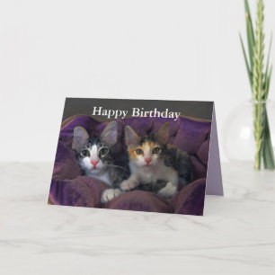 Carte Joyeux Anniversaire Kitten Pair dans un lit pourpr