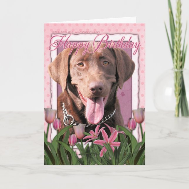 Carte Joyeux anniversaire - Labrador - chocolat (Devant)