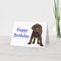 Joyeux anniversaire Labrador Retriever Puppy Dog C