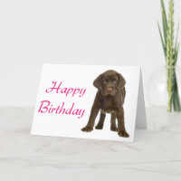 Joyeux anniversaire Labrador Retriever Puppy Dog C