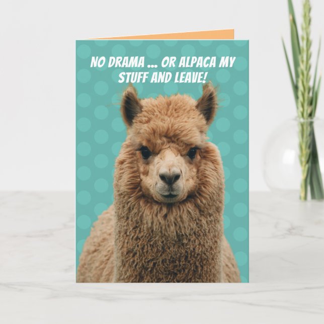 Carte Joyeux Anniversaire Lama Pas De Drame Ou Alpaga Me (Devant)