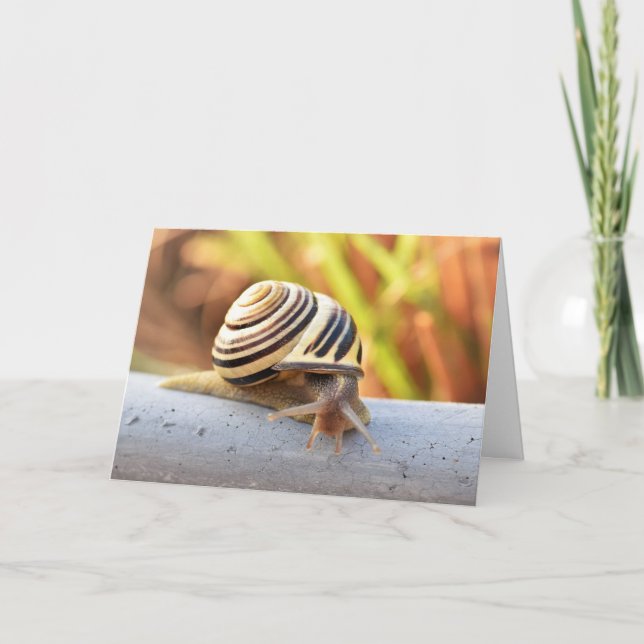 Carte Joyeux Anniversaire Lent Escargot (Devant)