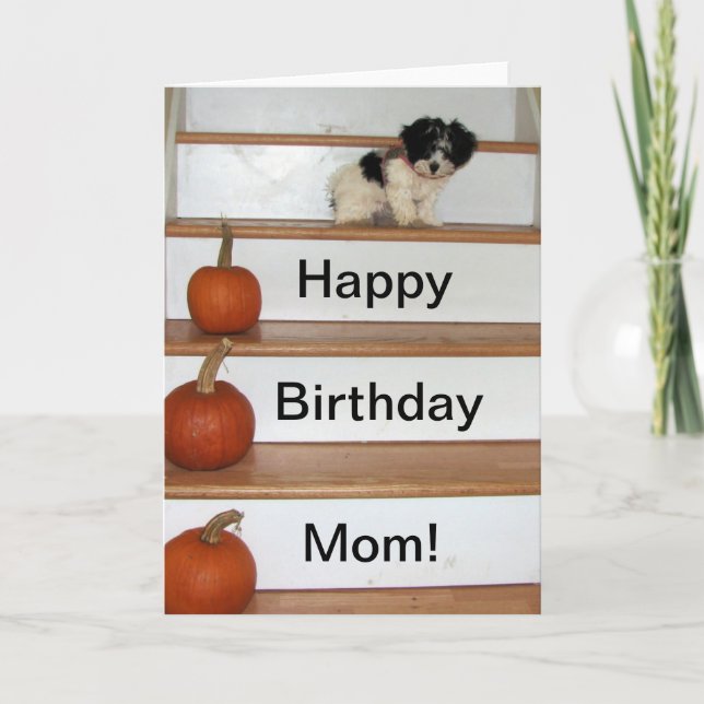 Carte Joyeux anniversaire maman - chiot et citrouille Ha (Devant)